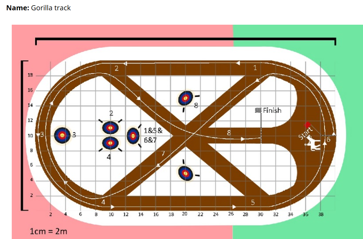 Gorilla Course